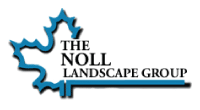 the-Noll-landscape-group
