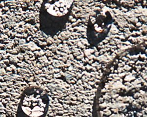 Natural Stone Cleaners, Sealers, & Adhesives