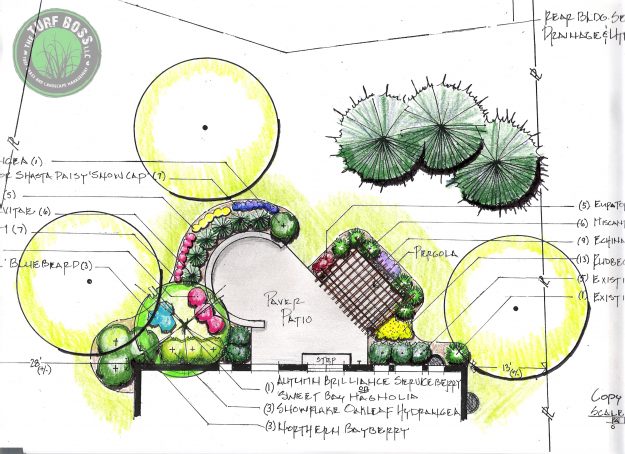 Landscape Blueprint design